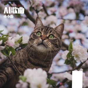 我的孤单刚好需要你的喧闹填满