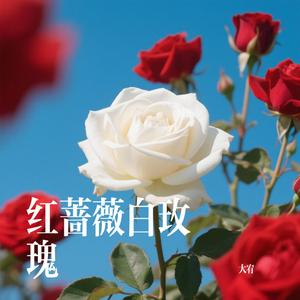 红蔷薇白玫瑰