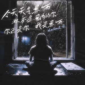 今天天气暴雨淋不湿窗内的你你还是你我是暴雨