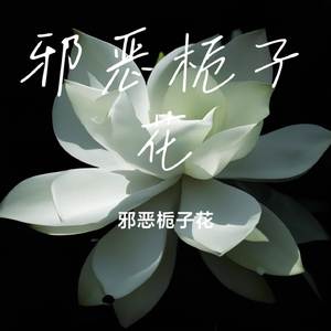 邪恶栀子花