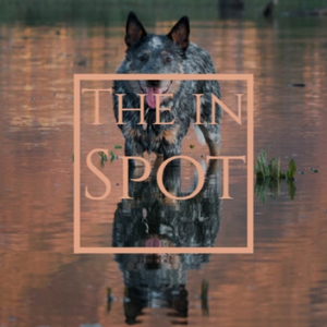 From Puzzle to Puzzle