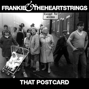 Searching For The Truth