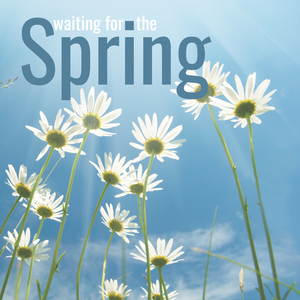 Urban Mystic (Underscore)