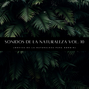 Sonidos Oránicos De La Naturaleza Pt. 2