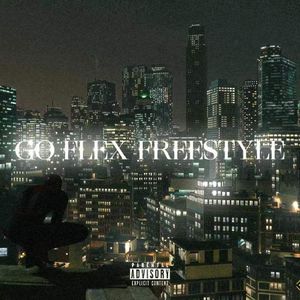 Go flex freestyle