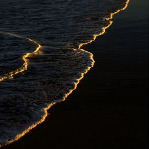 露往霜来