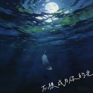 不想成为你的光