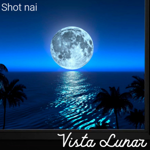 Vista Lunar