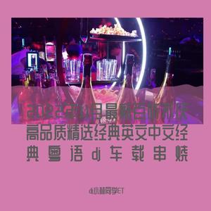 dj小林同学ET-中英文lc流行音乐挂住你精选抖音V503包房串烧