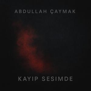 Kayıp sesimde