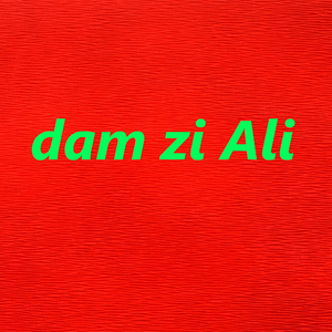 Dam Zi Ali