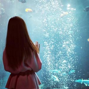 您所拨打的电话不在服务区