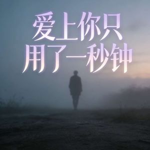 爱上你只用了一秒钟