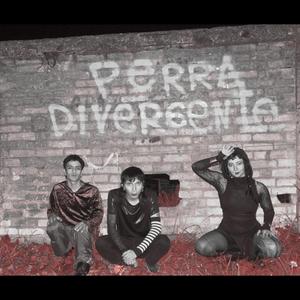 PERRA (Galactxtx Remix)