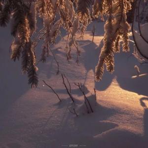 full clover (feat. Jdeezy)