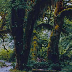Tropical jungle