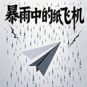 暴风雨中的纸飞机