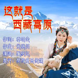 这就是西藏高原