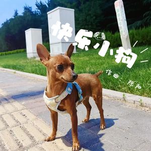 《快乐小狗》