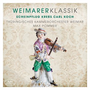 Sinfonia in C Minor, Krebs-WV 200: I. Allegro non troppo