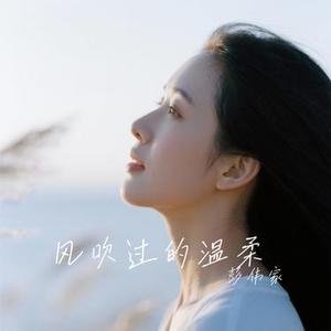 风吹过的温柔