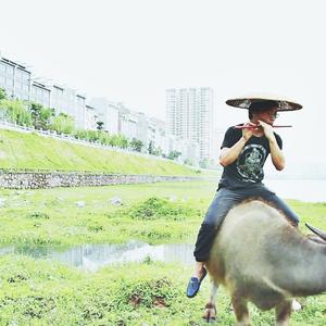 爷爷心里话【关于禁毒的一首歌】