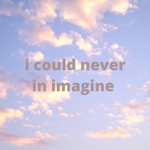 I Coul Never in Imagine