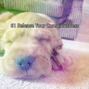 平静的夜晚休息