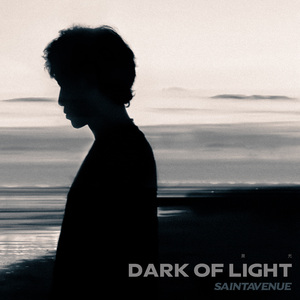 DARK OF LIGHT 黑光