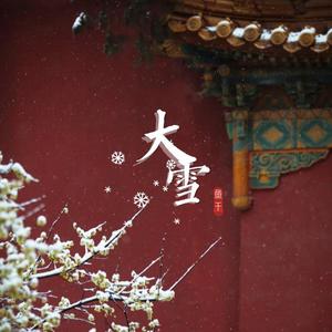大雪（翻自 音阙诗听）