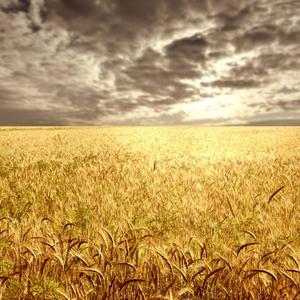 Hoaprox-#Lov3 #Ngẫu Hứng（Oturans remix）