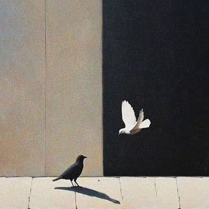 白鸽乌鸦相爱戏码(1)