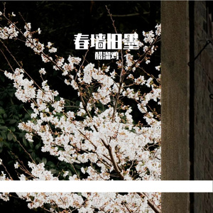 春墙旧墨
