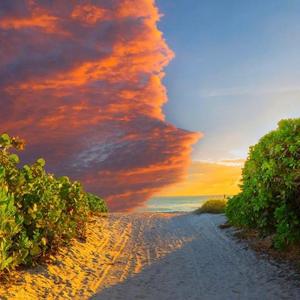 KnowKnow X ''Bossy'' Type Beat''Lossy''