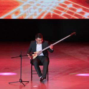 南非世界杯主题曲（弹布尔）