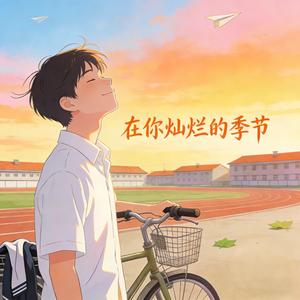 在你灿烂的季节（男声版）