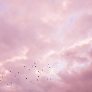 最后的外卖（吉他版）