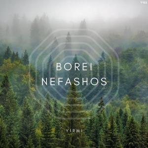 Borei Nefashos