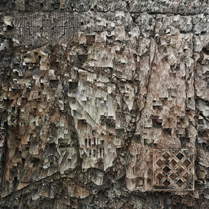 Square in a Square (Original Mix)