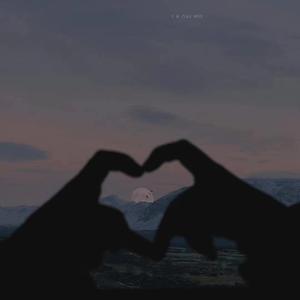 谈恋爱前不如先养猫