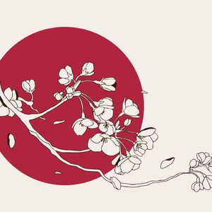 星の雫