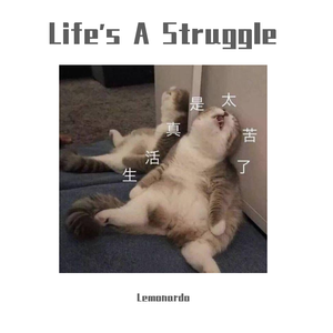 宋岳庭-Life's A Struggle（Lemonardo remix）