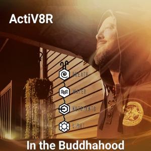 In the Buddhahood (feat. Stephanie Rae Grenier DC) (432hz tuning with crystal bowls)