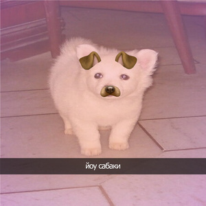 йоу сабаки
