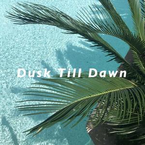 ZAYN / Sia-Dusk Till Dawn (Club Mix)（Uzller remix）