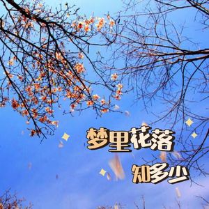 梦里花落知多少(女声版)