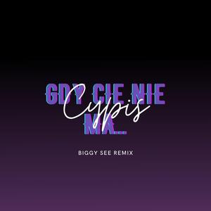 Gdy cię nie ma... (feat. Cypis) (Biggy See Remix)