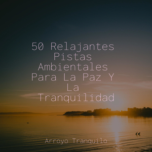 Asentarse