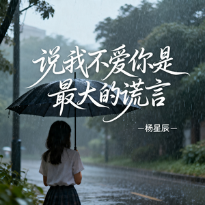 说我不爱你是最大的谎言