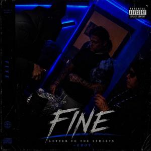 Fine